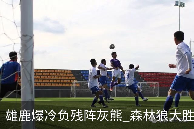 雄鹿爆冷负残阵灰熊 森林狼大胜开拓者4连胜